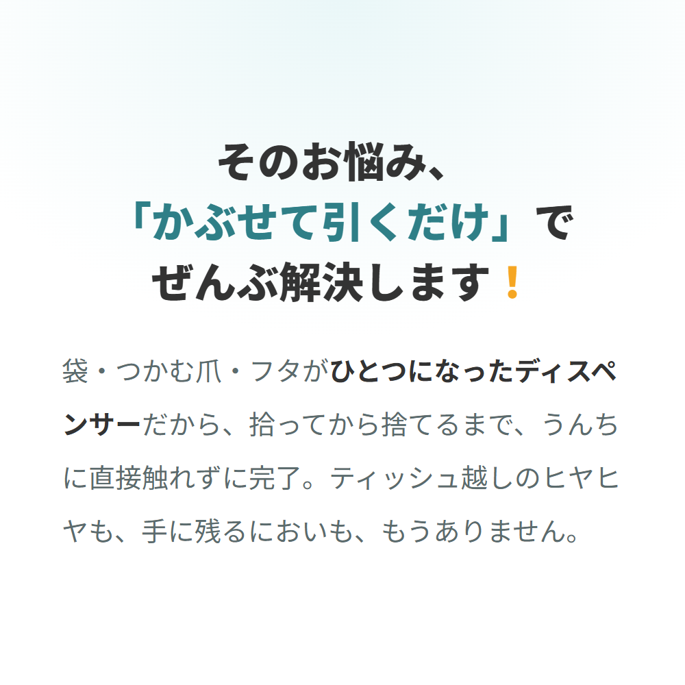 解決宣言