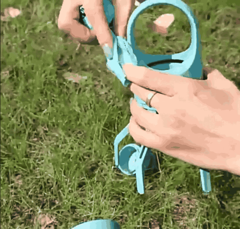 GIF2